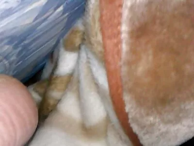 Nemfoman sarışın sarışın kocasının ofisinde yabancı sikikleri gizli çekim amatör porno